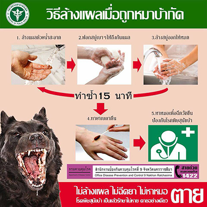 แนวทางการป้องกัน โรคพิษสุนัขบ้า